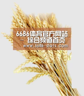 6686体育官方网站 - 综合频道首页 - 官方地址入口