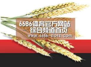 6686体育官方网站 - 综合频道首页 - 官方地址入口