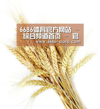 6686体育官方网站 - 综合频道首页 - 官方地址入口