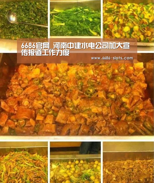 6686网站