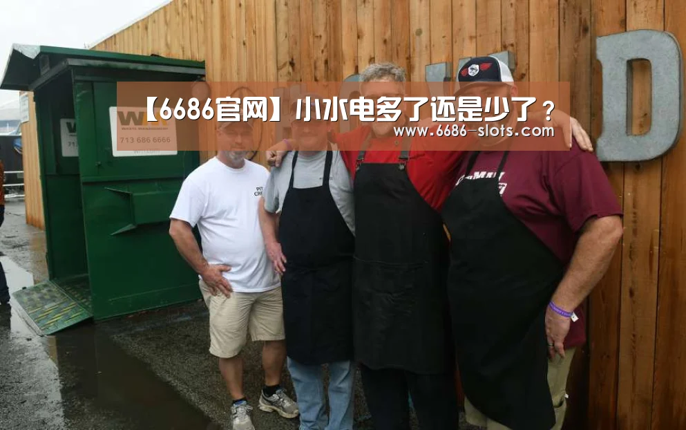 【6686官网】小水电多了还是少了?(图4) 6686体育