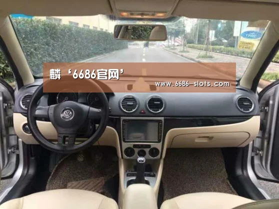 6686网站