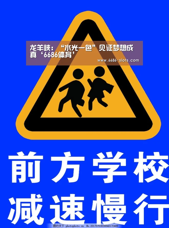 6686网站