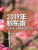 2019年黔东南失业保险最新规定:缴费比例、基数、多少钱|6686体育(图2) 6686赛程